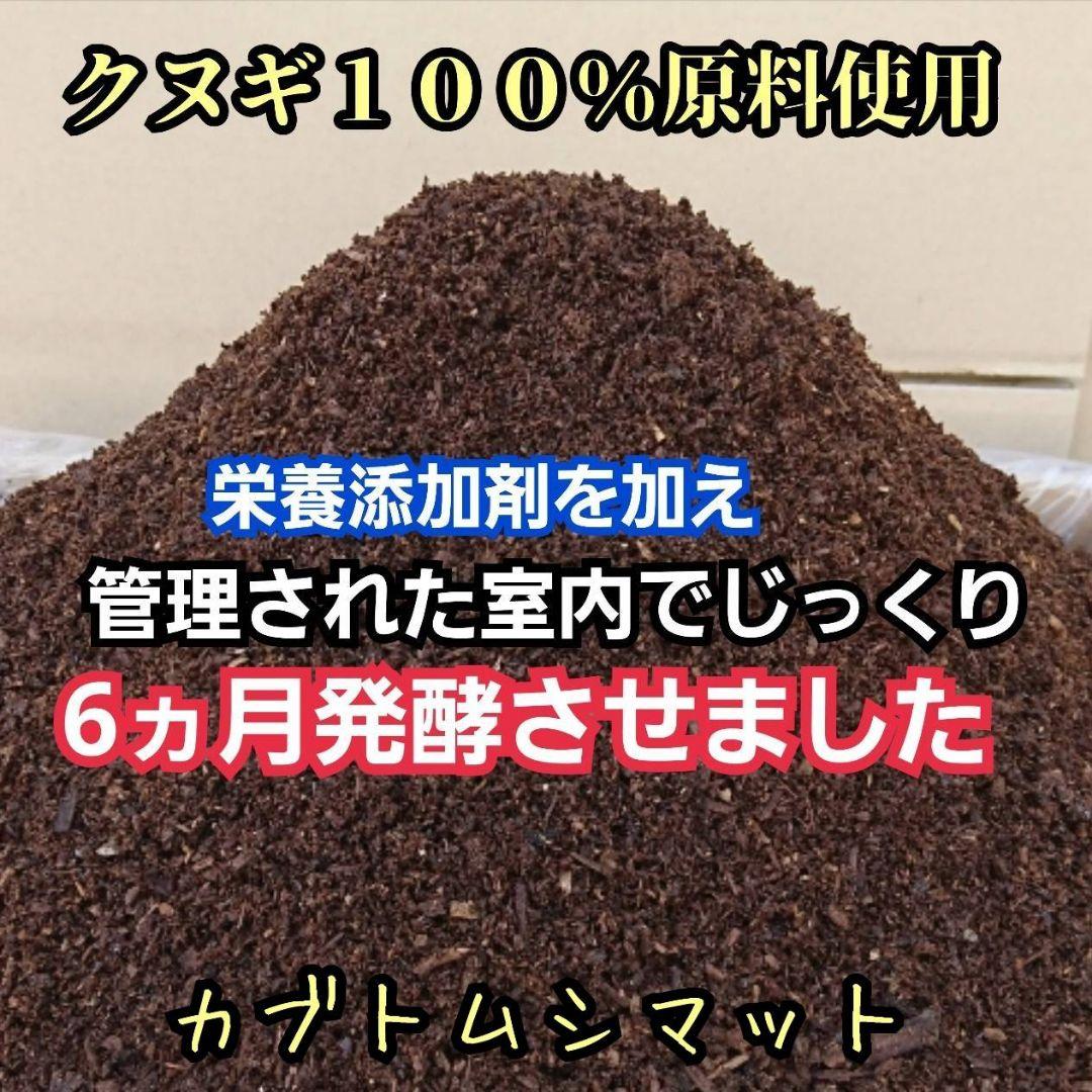 発酵マット入り！国産カブトムシ幼虫1頭飼育専用縦長クリアボト【20本セット】