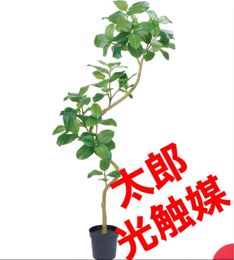 光触媒　人工観葉植物　ウォールグリーン　フェイクグリーン　アルテシマエレガンス2