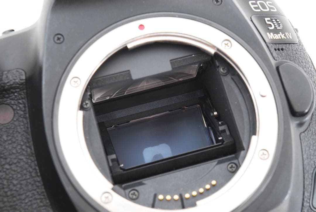 ☆保証付き☆キャノンcanon eos 5d mark ivレンズセット
