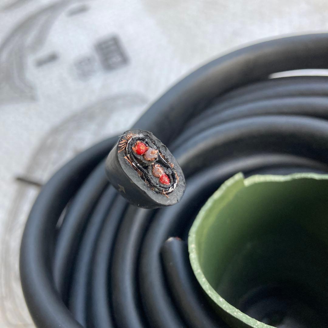 ACOUSTIC HARMONY ケーブル 約15メートル!SP or RCA