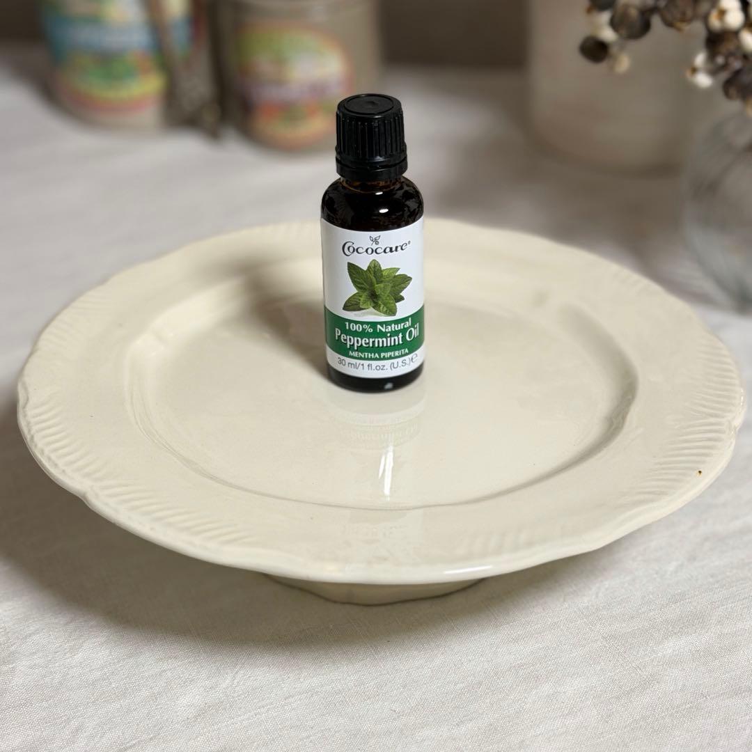 美しくも可愛いコンポティエ　クレイユモントロー　フランスアンティーク