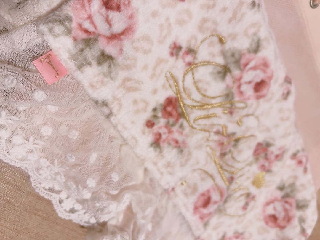 公*o様 希少　LIZLISA ジャンパースカートセット