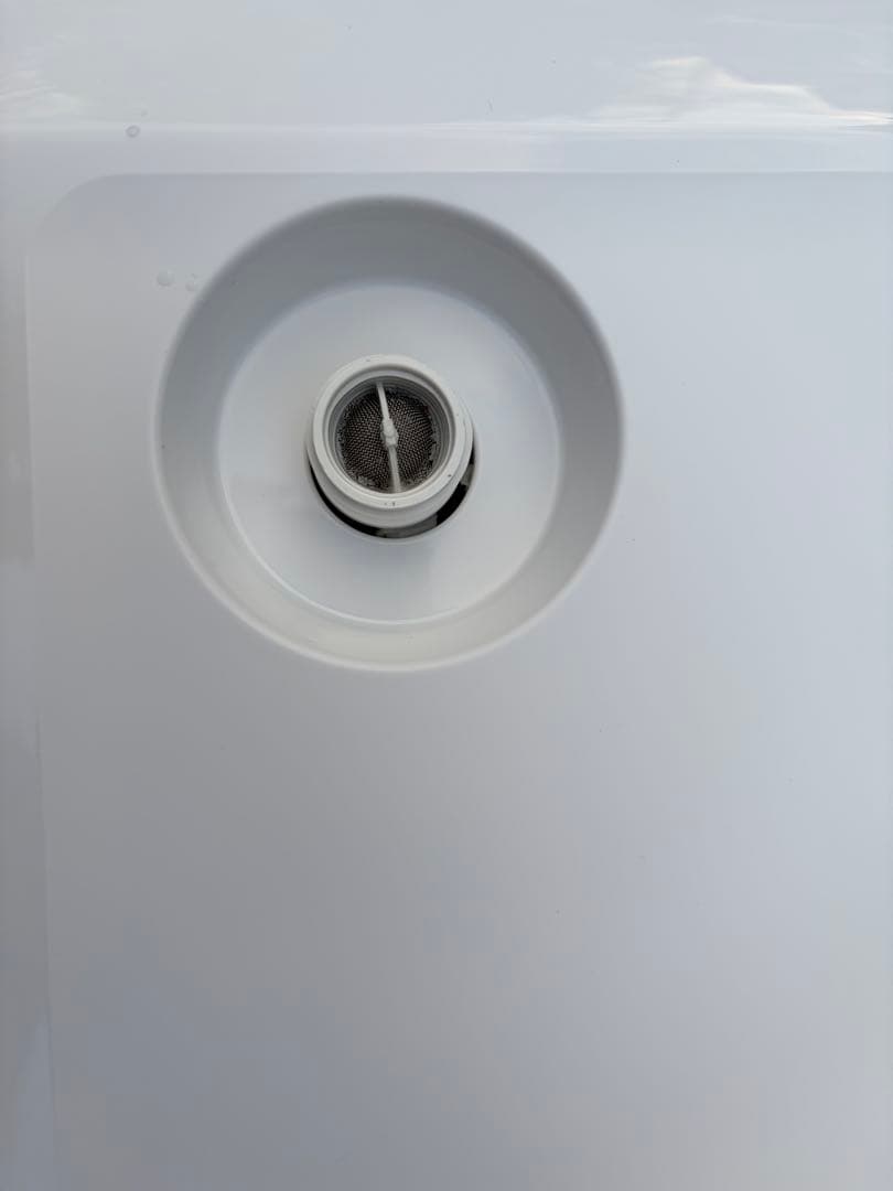 2022年製！SHARP ドラム式洗濯機 本体 ホワイト