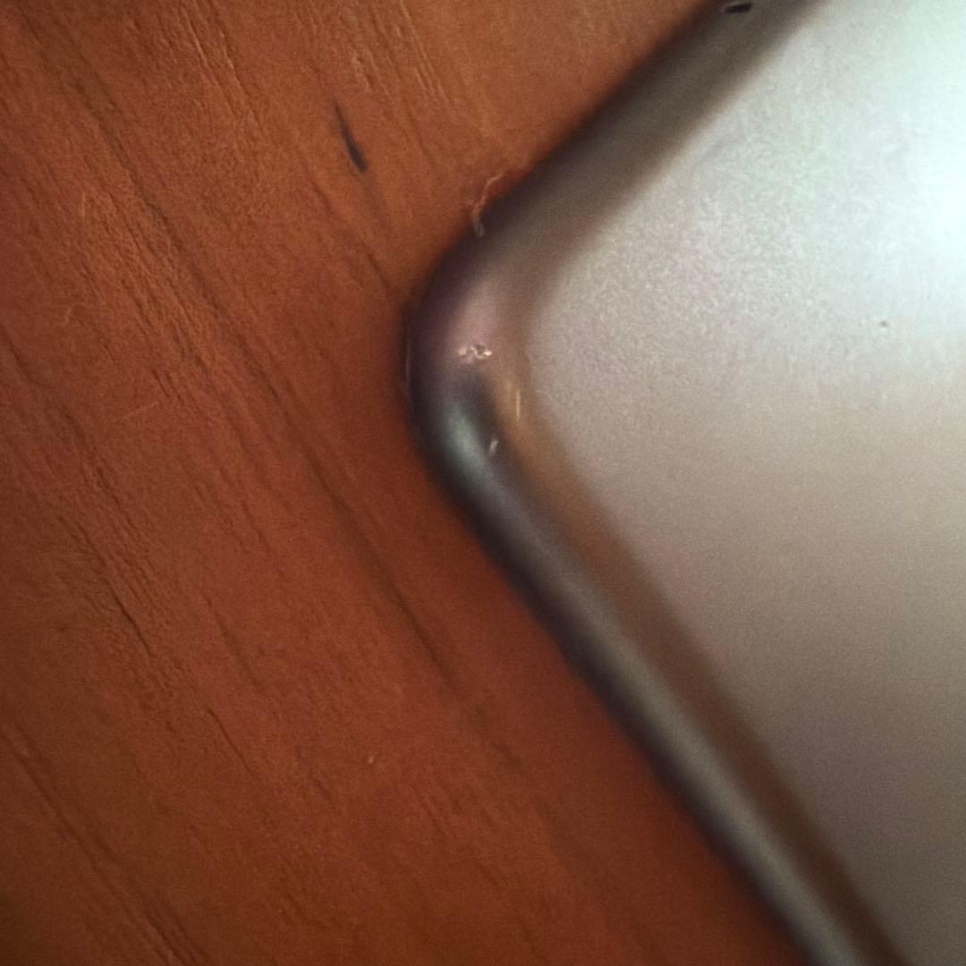 【坊主タケシさま専用】Apple iPad mini 第5世代 本体