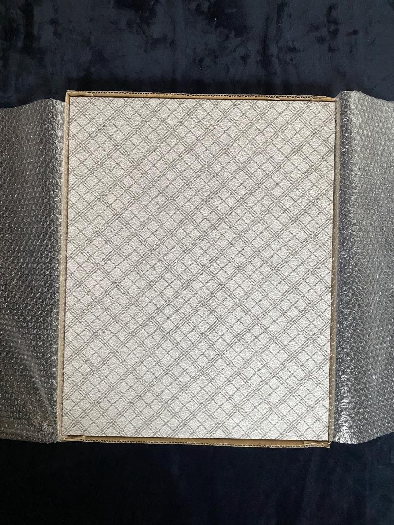 ストリートファイター 30th 額装グラフィックアート シリアルナンバー入り