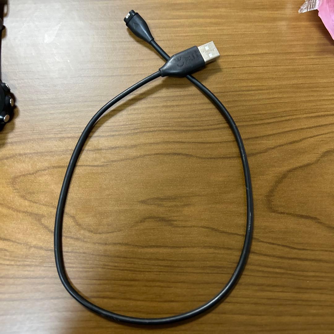 GARMIN245 ダイナミックスボッド付き