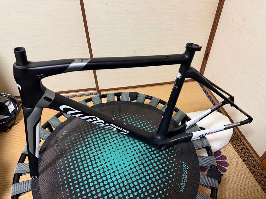 WILIERGRANTURISMO R GTR TEAM サイズM 2022年