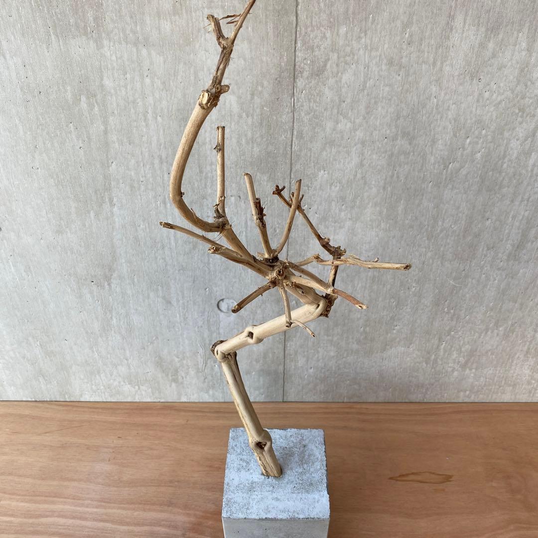 【コンクリート盆栽 流木オブジェ】ディスプレイ アート インテリア 鍵 爬虫類