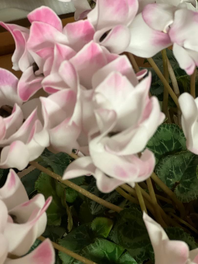 Apple iPhone 13 Pro Max シルバー 本体(中古)