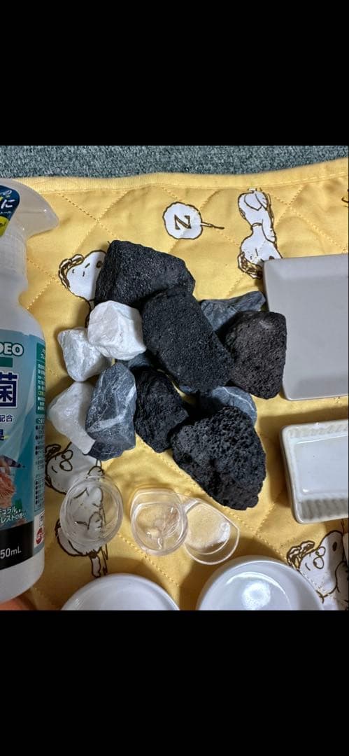 爬虫類・両生類用飼育セットまとめ売り