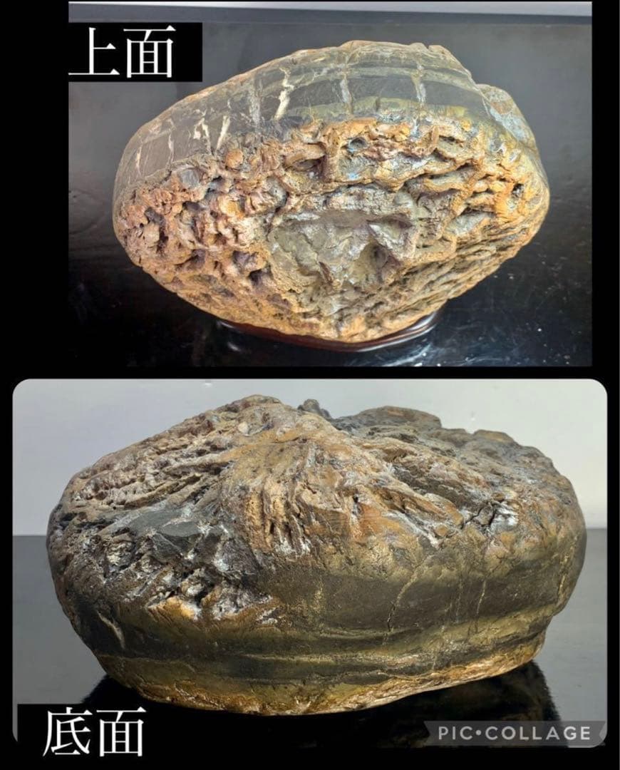 4190 メロン馬蹄石 盆栽骨董盆石鑑賞石観賞石中国古玩古美術太湖石山水景石