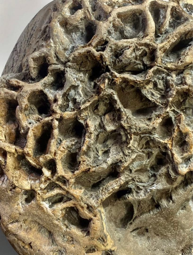 4190 メロン馬蹄石 盆栽骨董盆石鑑賞石観賞石中国古玩古美術太湖石山水景石