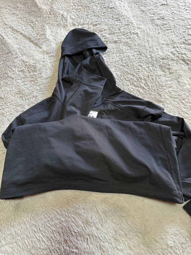 アークテリクス　arc'teryx Rho LT Hoody Mサイズ