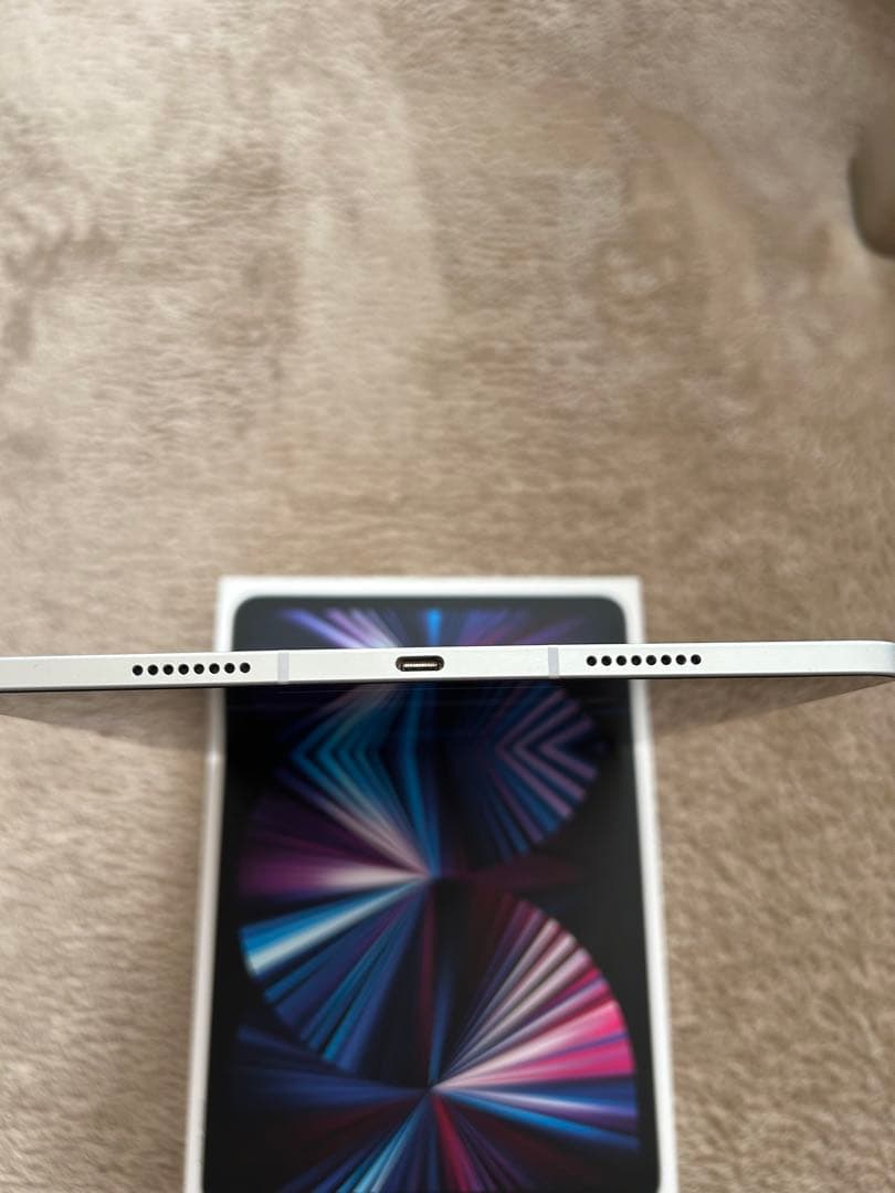 【美品】iPad Pro 11インチ 1TB Wi-Fi＋cellular