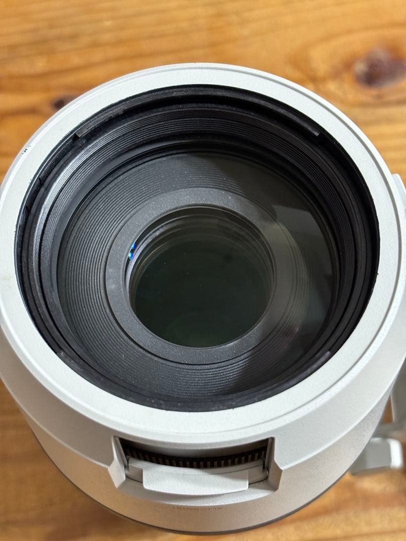 SONY FE 100-400mm F4.5-5.6 GM OSS ズームレンズ