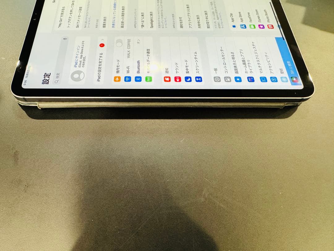 iPad Pro 11インチ 第1世代 Cellular 258GB