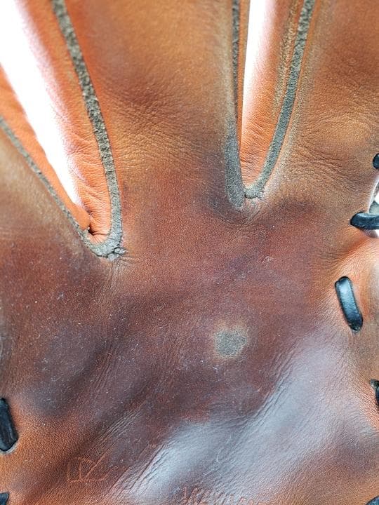 ハタケヤマ HATAKEYAMA 硬式 外野手用グローブ V-81WR 左投げ