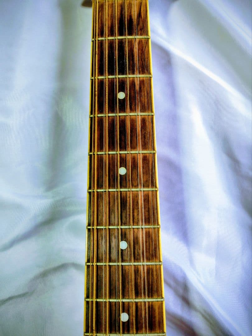 【12弦エレアコ】Ibanez ／弦高低め弾きやすい・ソフトケース付・値段応相談