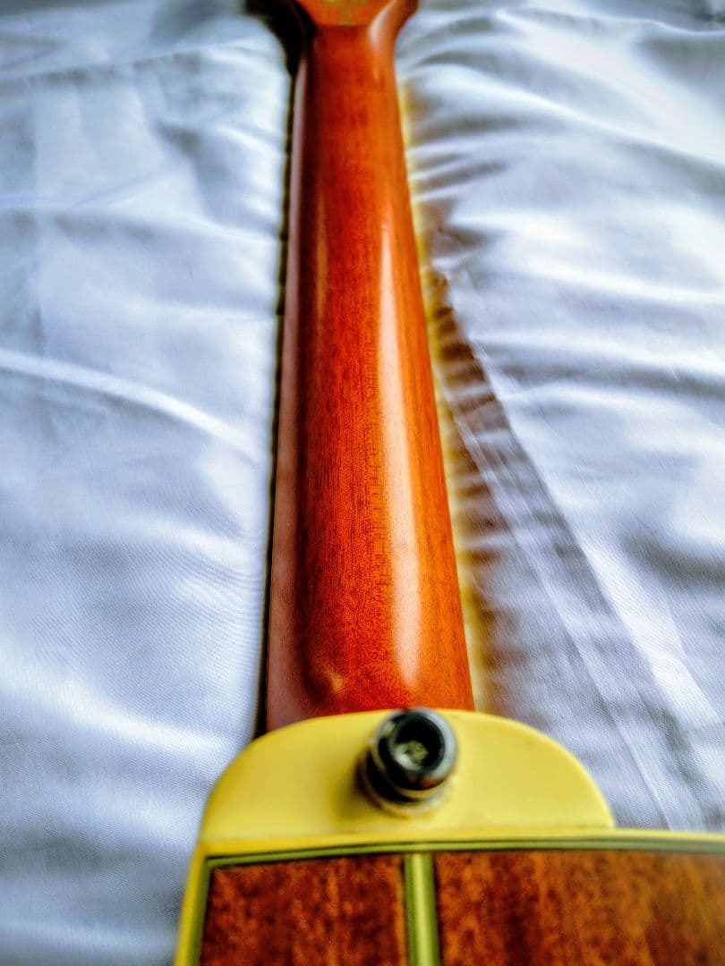 【12弦エレアコ】Ibanez ／弦高低め弾きやすい・ソフトケース付・値段応相談