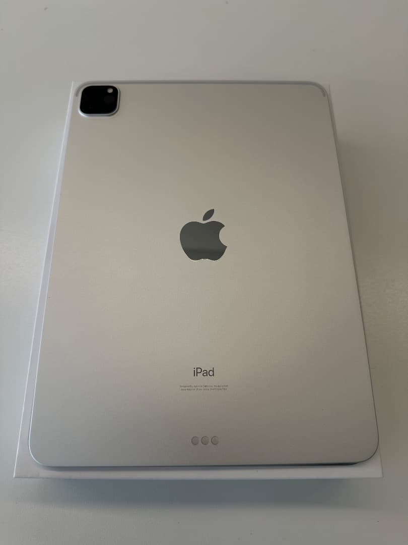 【完動品】iPad Pro11 2世代　iOS18.5　128GB