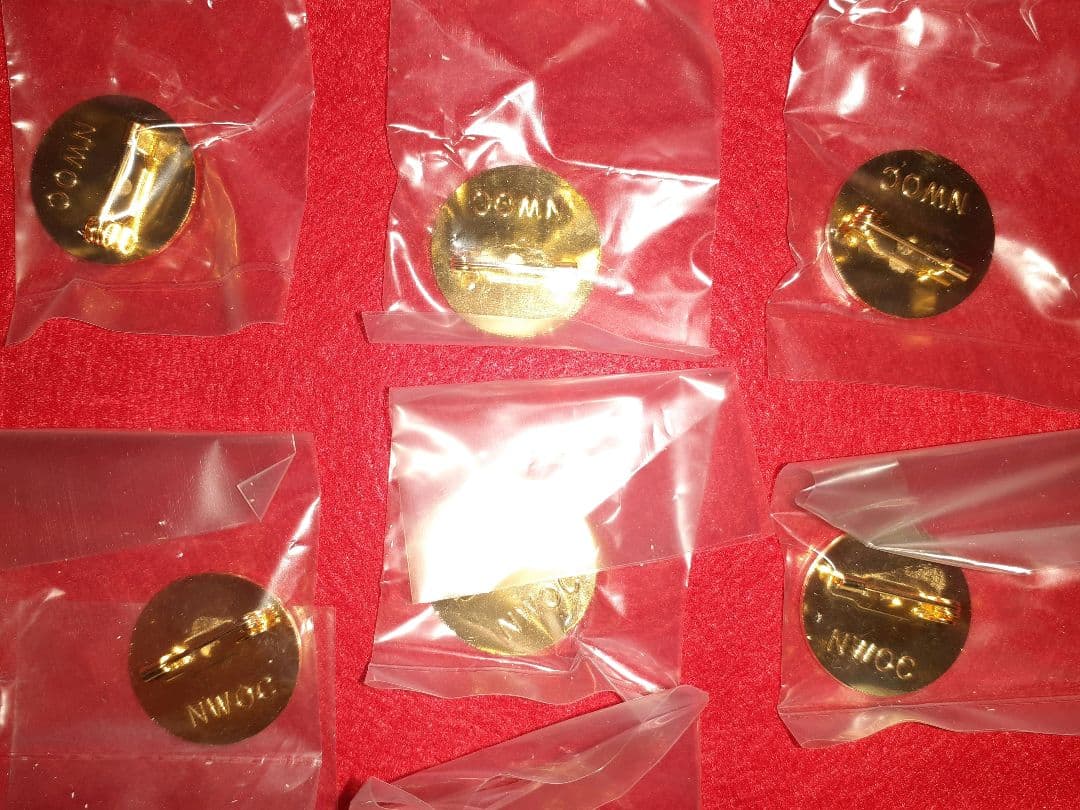 長野オリンピック　招致　ALPS　ピンバッジ　20個まとめ