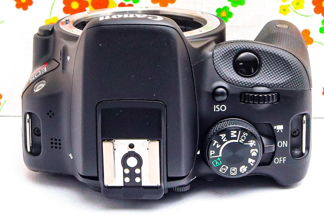 Canon EOS Kiss X7☆スマホ転送☆超小型☆間違いない一眼レフ