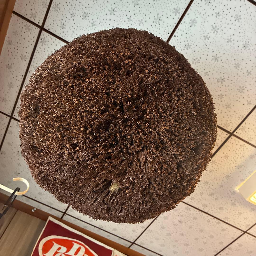 酒蔵の古い杉玉(酒林)