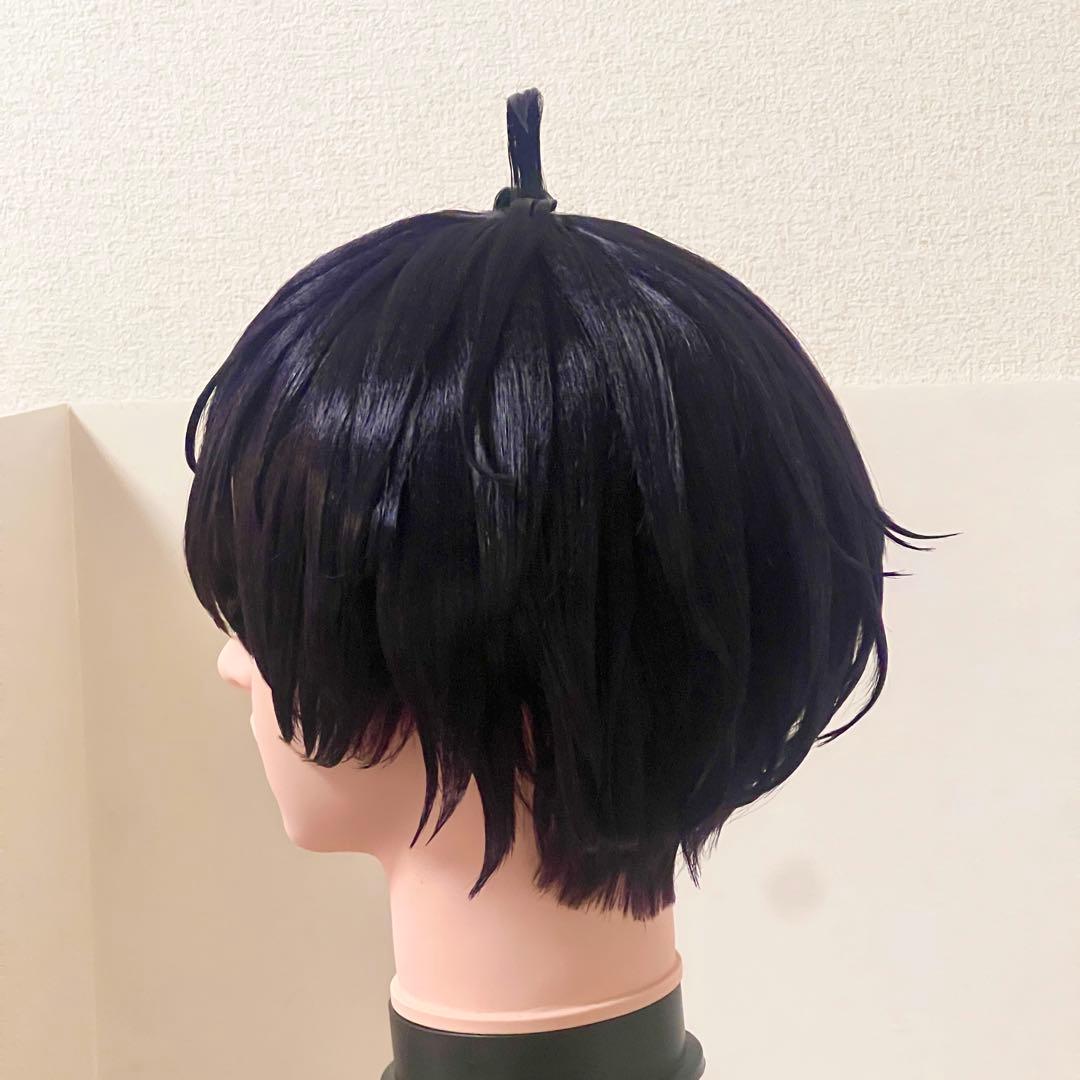 現品　佐伯イッテツ　イメージ　コスプレウィッグ