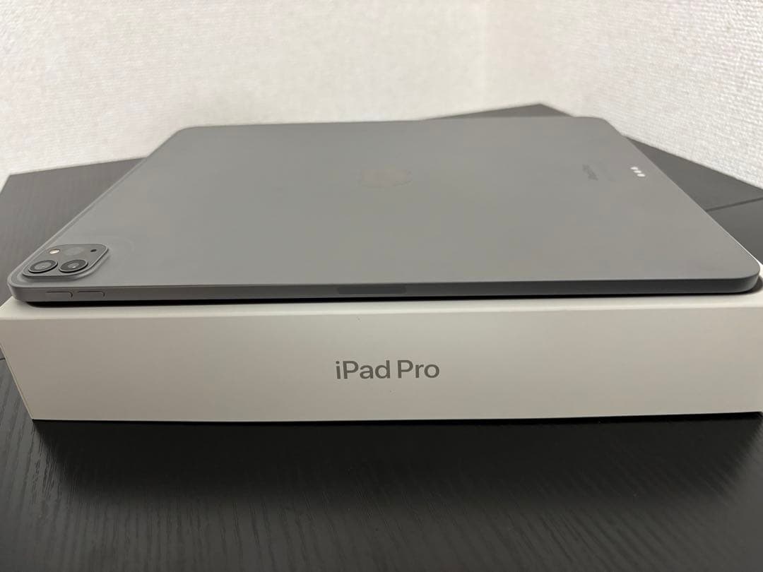 iPad Pro 12.9 inch 第6世代＋apple pencil