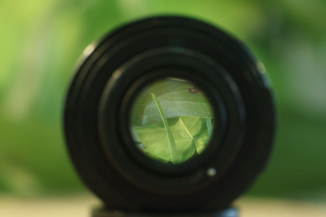 【フレアレンズ】YASHICA YASHINON-DX 50mm f1.7