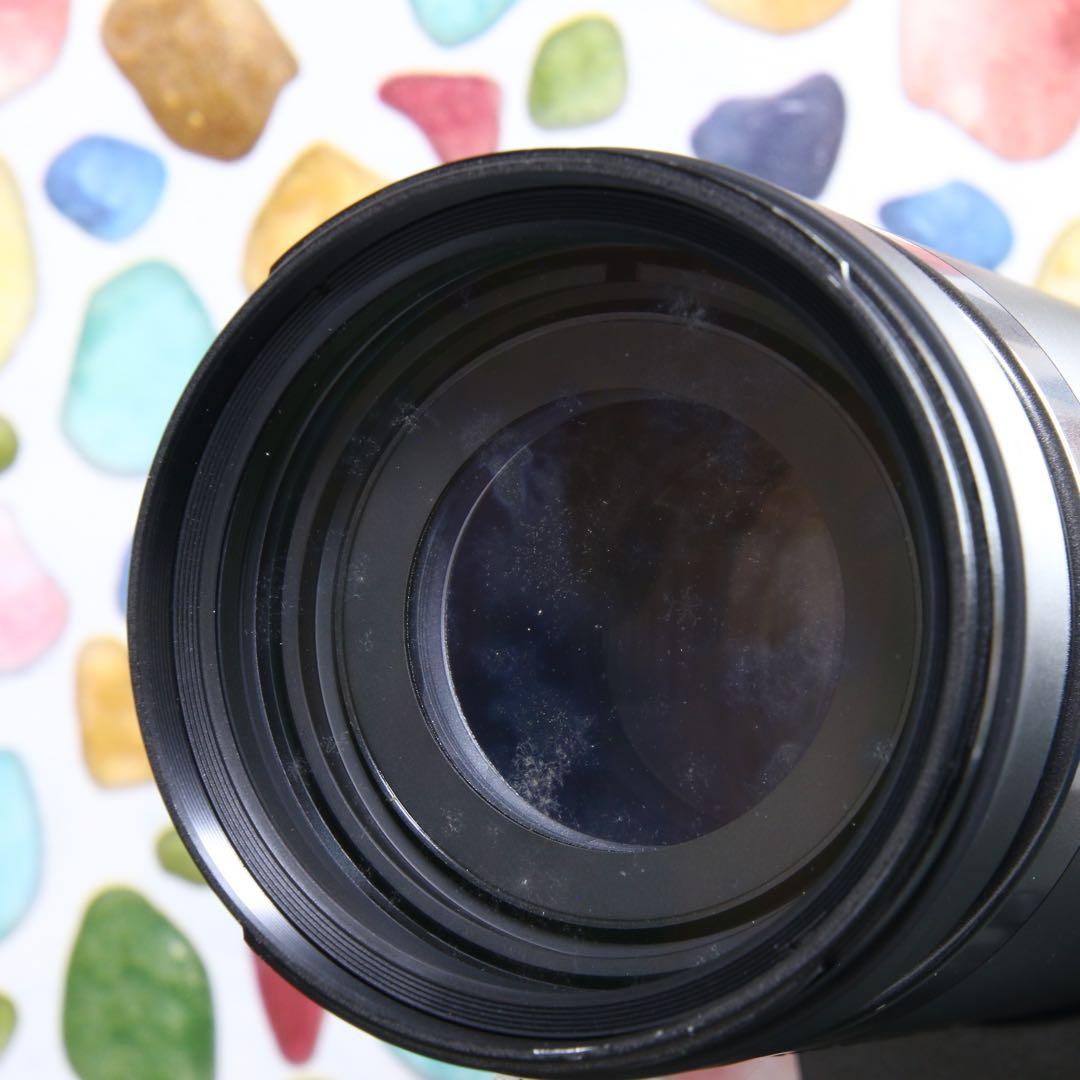 ♥︎◇高性能望遠レンズ♪ ◇TAMRON 200-400ｍｍ NIKON