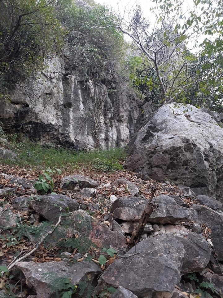 神聖物♌レクライ♋秘仏♉プラ・ウパカット♊神秘の宝物♎プラクルアン✨