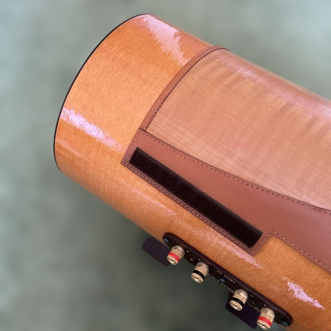 エムズシステム スピーカー 波動スピーカー MS1001-M