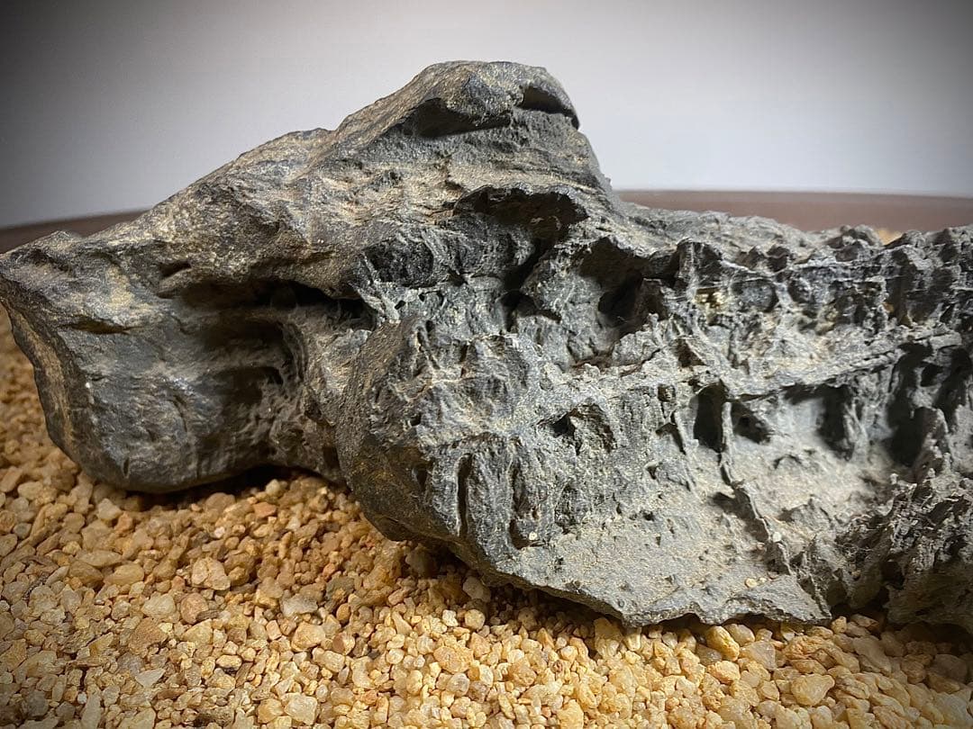 4222 佐治川石《希少》 水石 盆栽 盆石 置物 鑑賞石