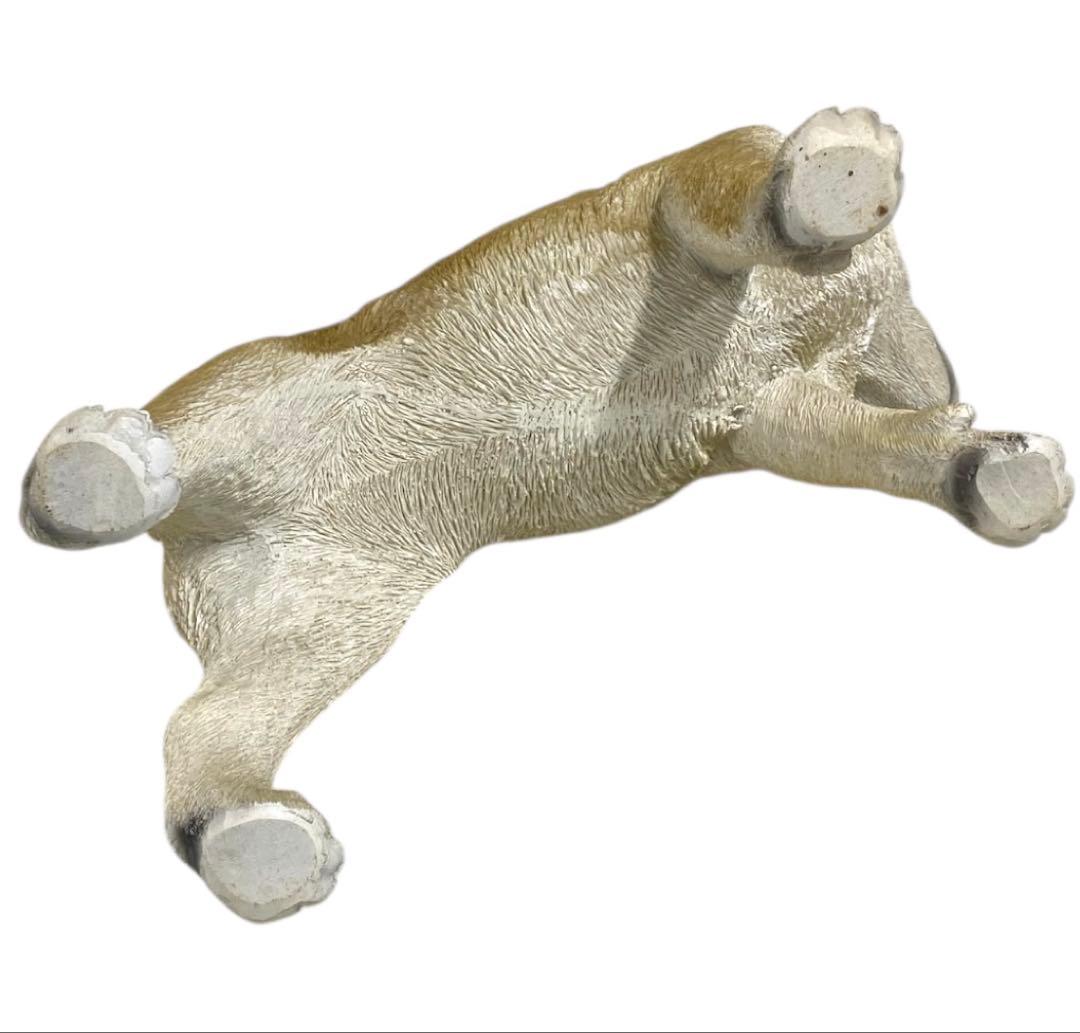 リアル！本物そっくり！ 等身大！？ 柴犬　置物　25オ411