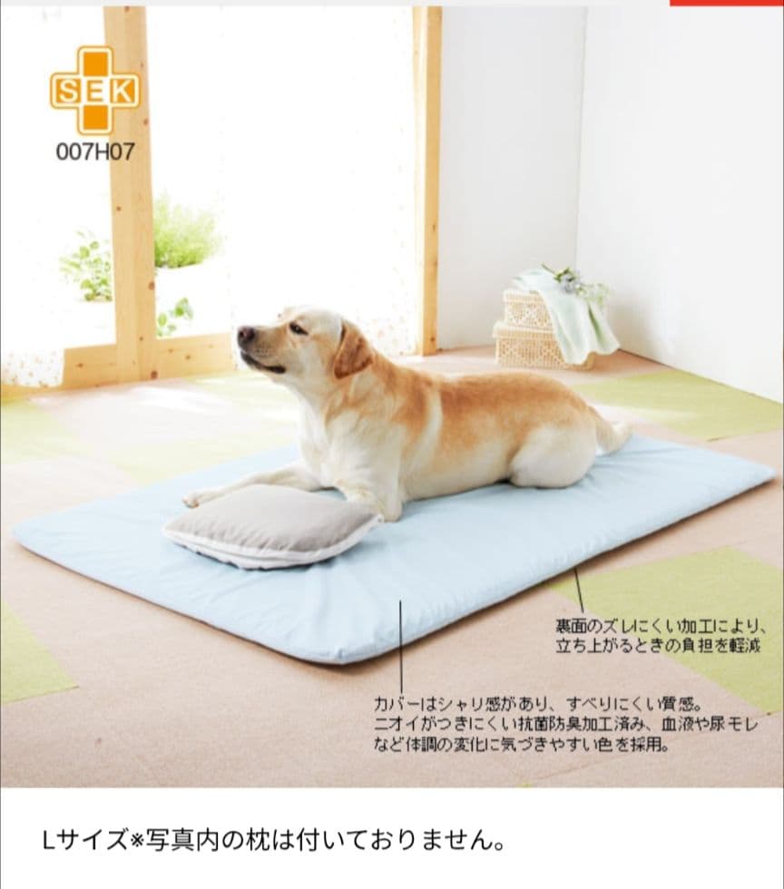 ペピイ　フィーヌエアマット　Lサイズ（シニア犬に快適）