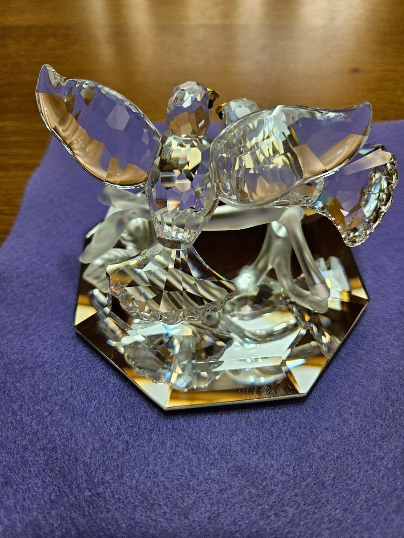 スワロフスキーのキジバト