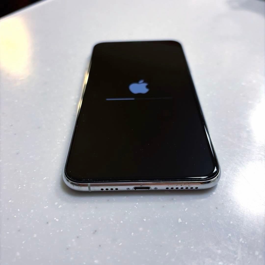 m*i様 Apple iPhone 11 Pro Max 256GB