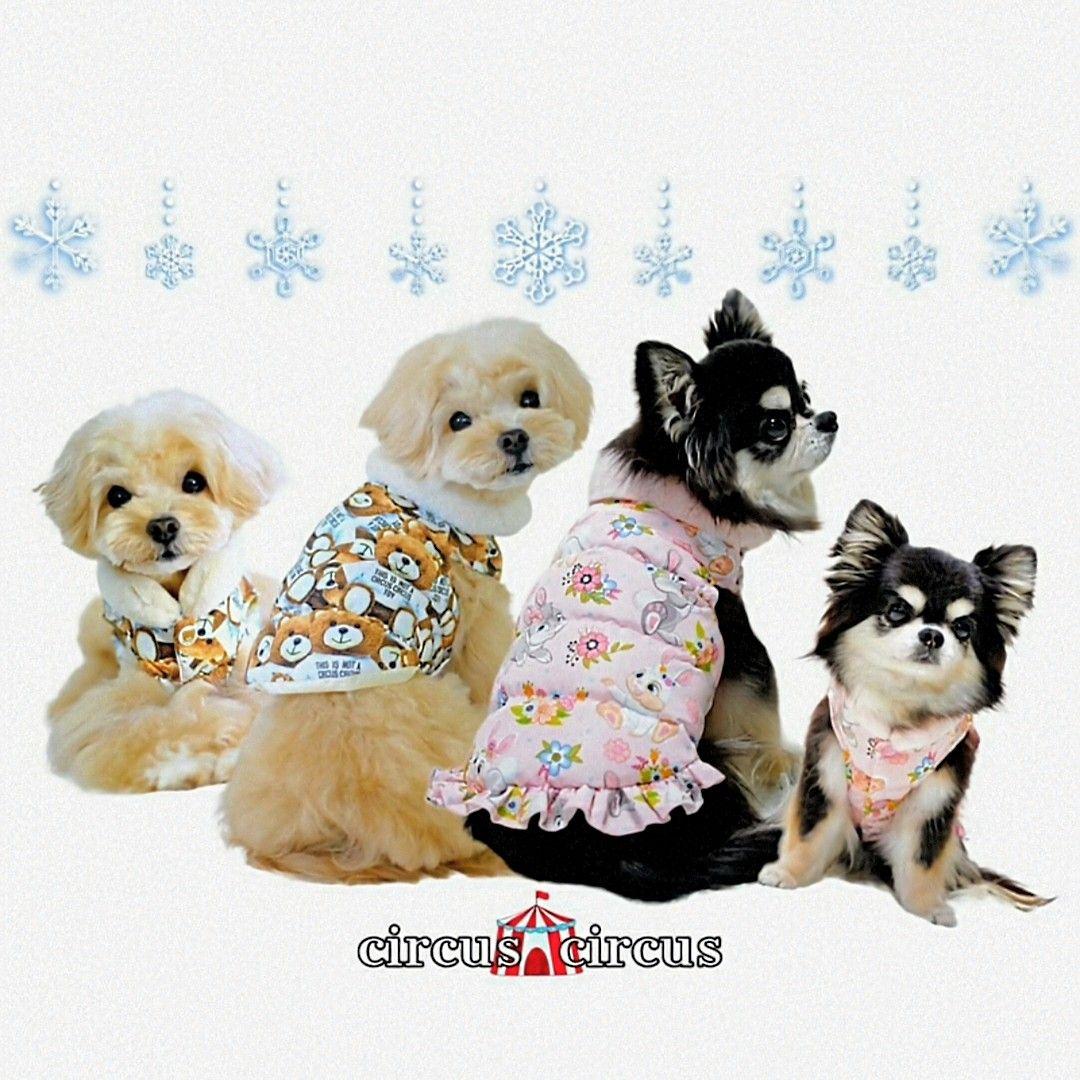 完売！Toy　Bunny　コートサーカスサーカスcircuscircus