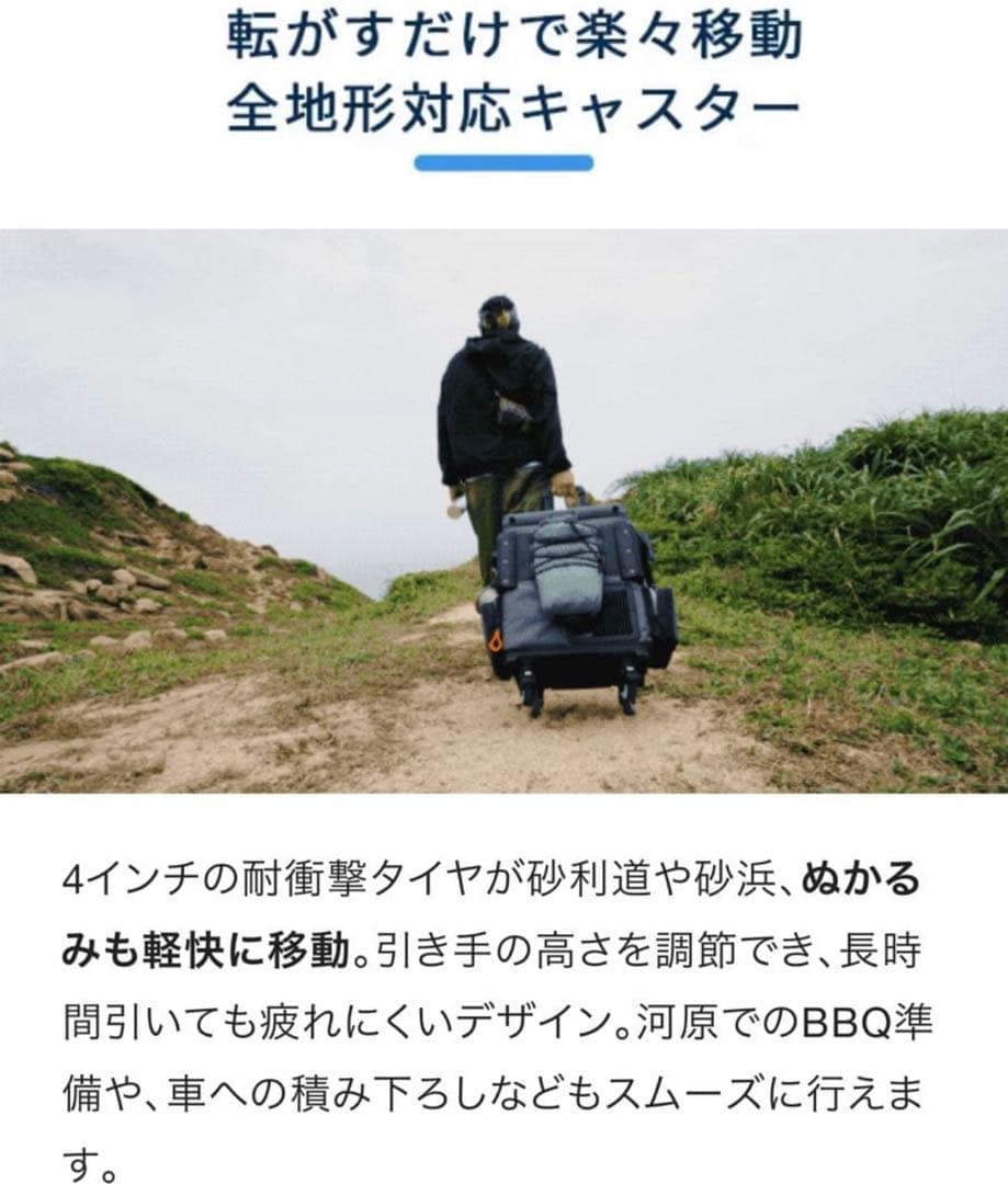 (値下げ) ポータブル冷蔵庫FrozenPack Wild Litheli