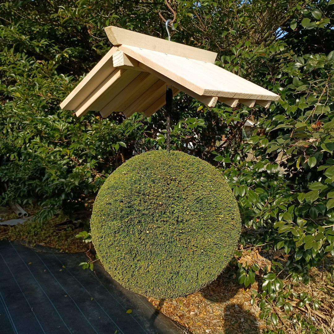 杉玉　直径37ｃｍ 屋根付き