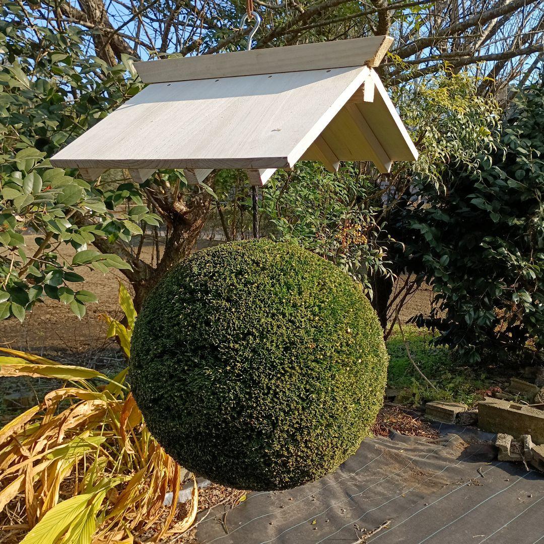 杉玉　直径37ｃｍ 屋根付き