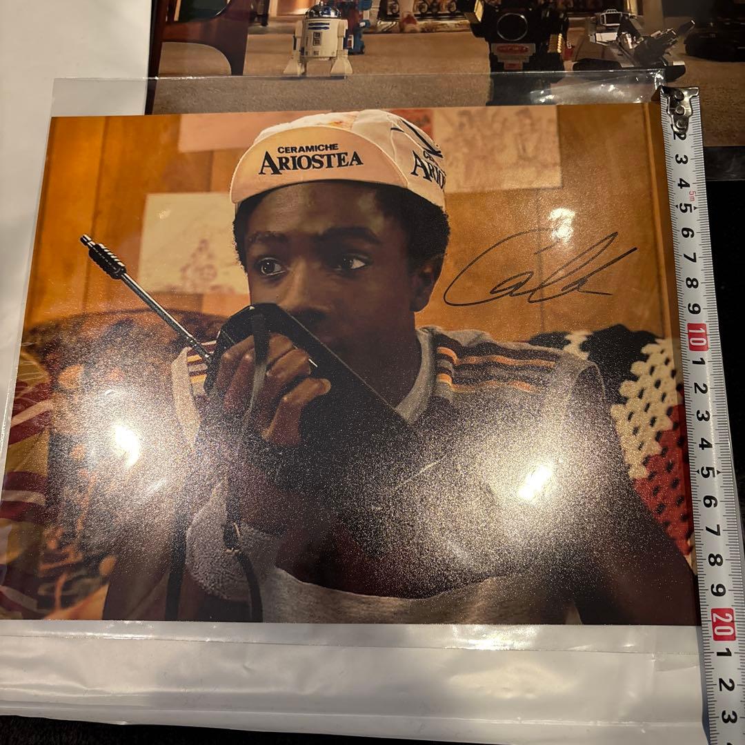 【バラ売り不可】ストレンジャー・シングス 直筆サイン入りポートレート