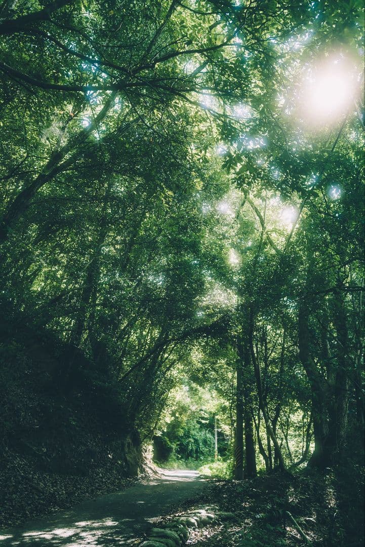 「【元箱付】LEICA Q2 完動品ブラックミスト・予備バッテリー付」作例有