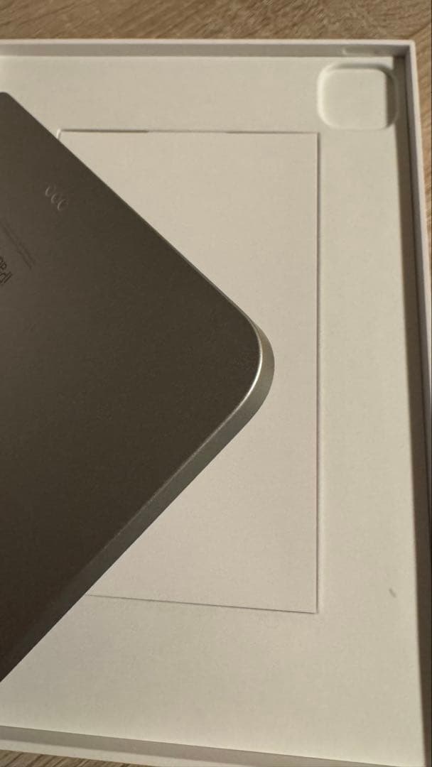 iPadPro11インチ (第4世代)