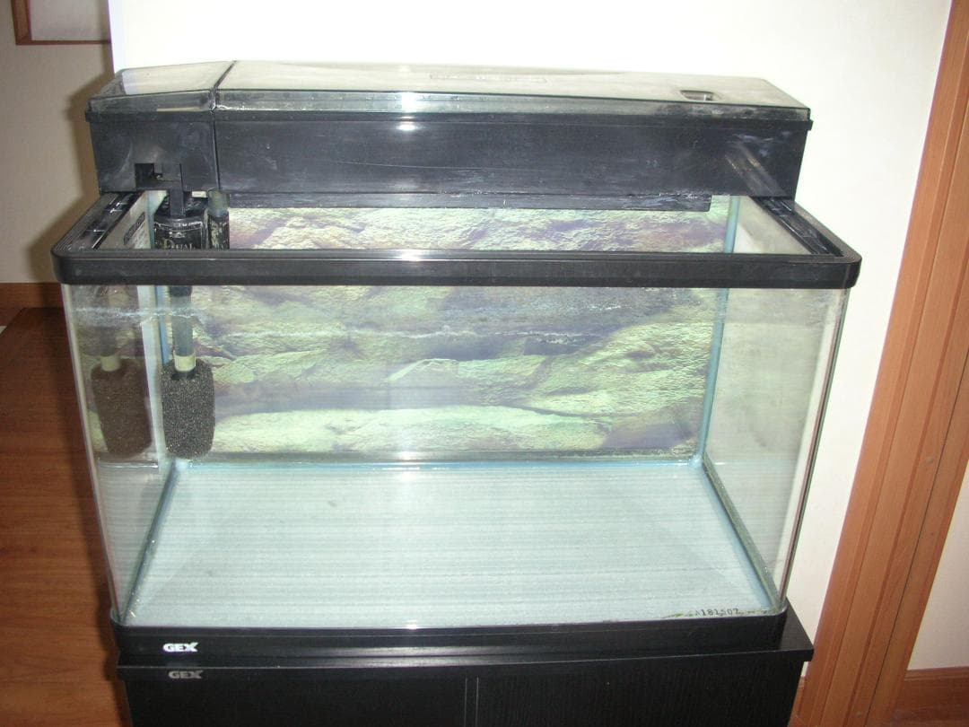 GEX ６０㎝　水槽台付　セット一式