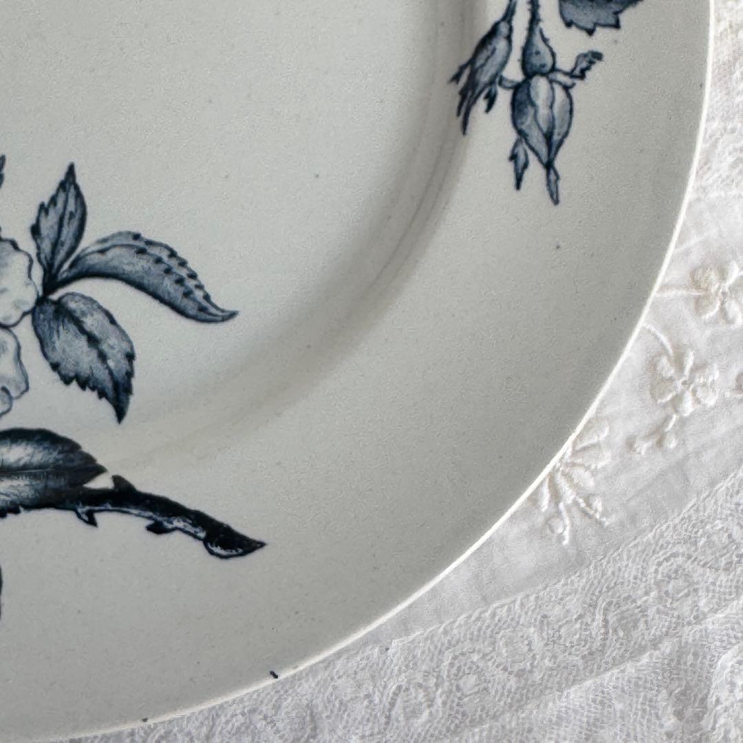 フランスアンティーク　クレイユモントロー　ローザ　 Creil 平皿