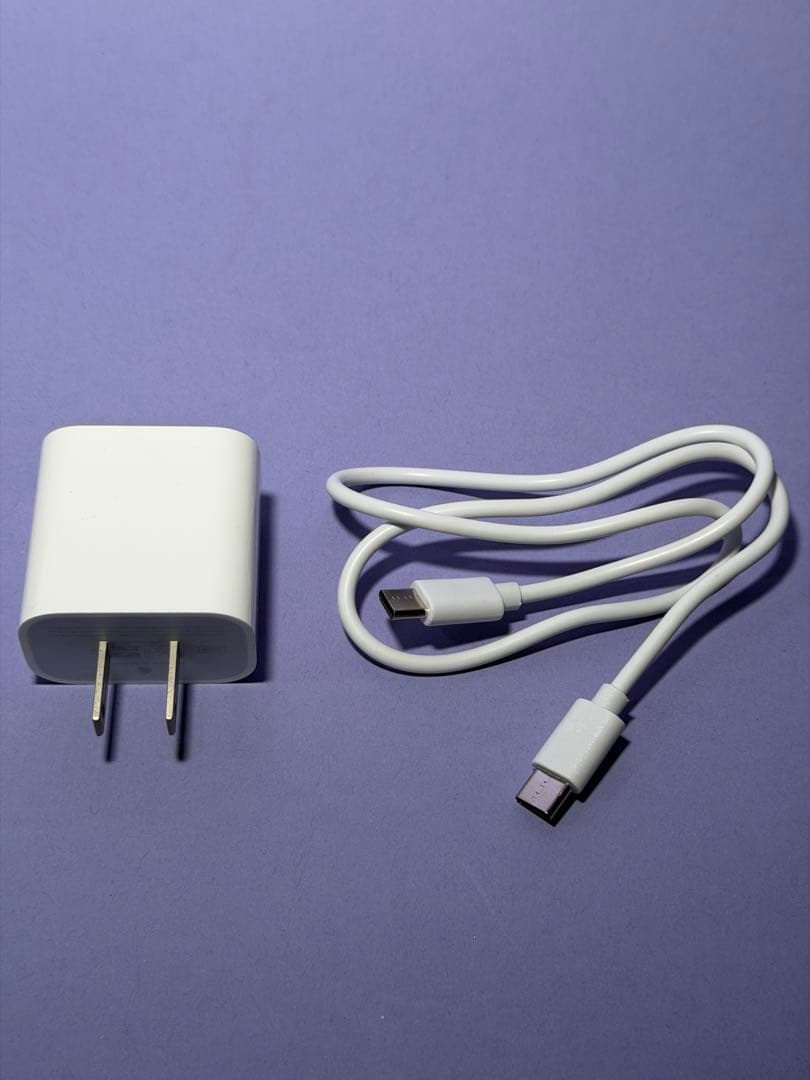 Apple iPad Pro (第4世代) 256GB wi-fiモデル