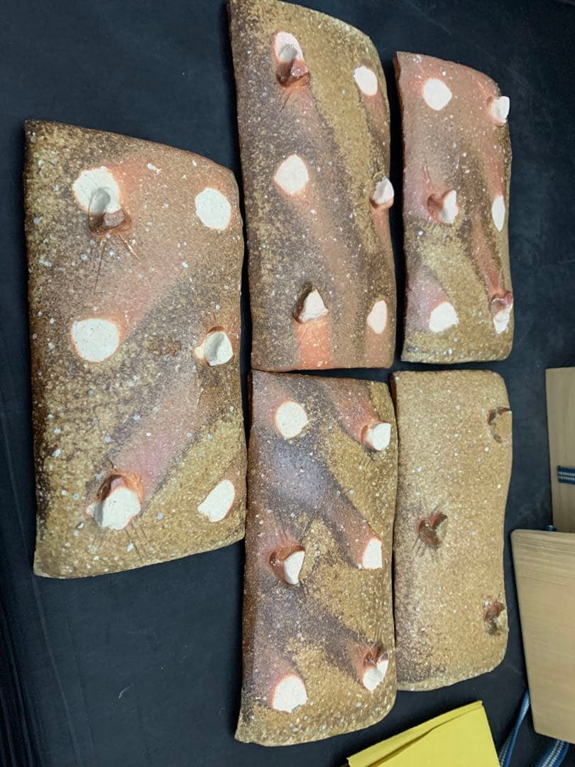 高橋楽斎　信楽焼　長方皿　5枚　栞共箱