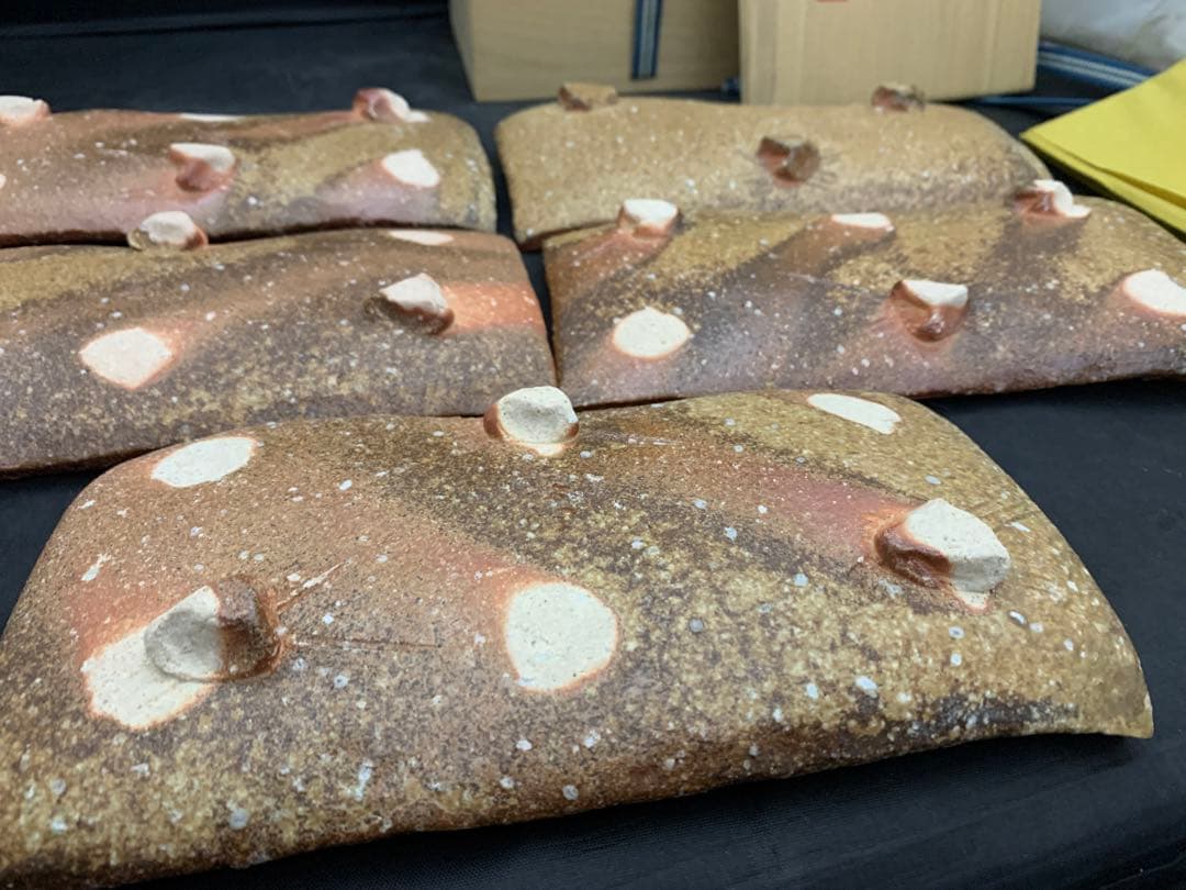 高橋楽斎　信楽焼　長方皿　5枚　栞共箱